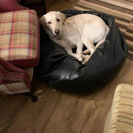 Hillgarth House * Kendal